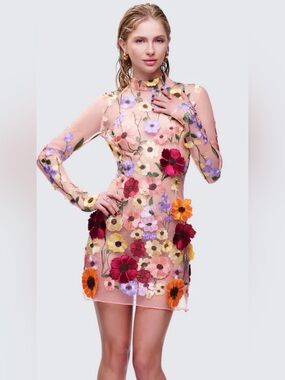 FINESSE Dress Medium Floral Flower Appliques Mini Sheer Mesh Long Sleeve Blush